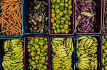  17 mil toneladas de alimentos da agricultura familiar abastecem escolas do Paraná anualmente
